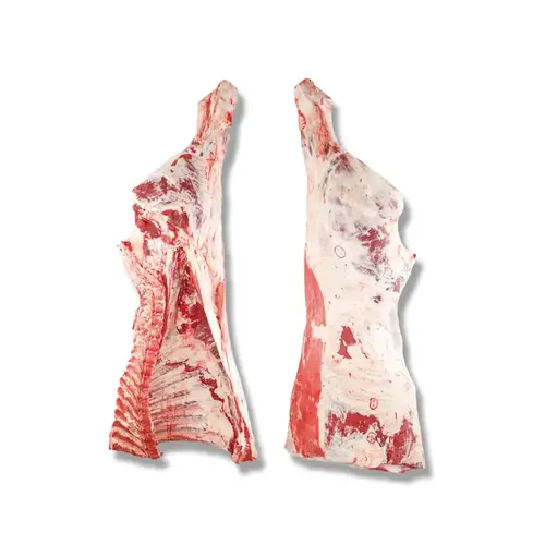 View details of Halal Beef Hindquarter Halal Beef Hindquarter wholesale bulk export supplier | France AJ Alimentaire And Food LTDA