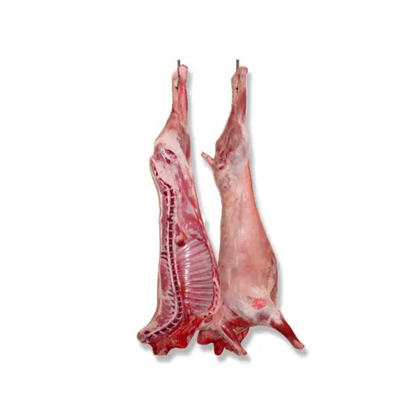 View details of Halal Frozen Whole Lamb Carcass - Global Wholesale Export Halal Frozen Whole Lamb Carcass - Global Wholesale Export | France AJ Alimentaire And Food LTDA