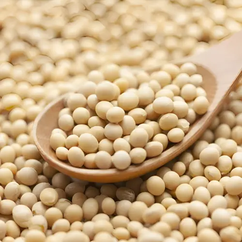 View details of GMO Soybeans Product image of GMO Soybeans