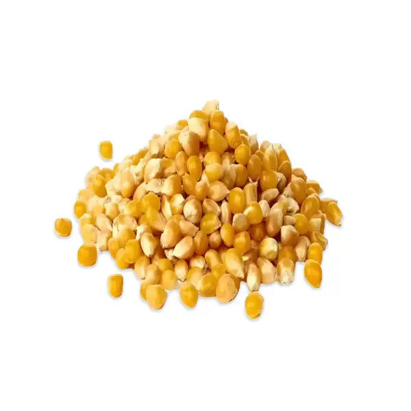 View details of GMO Yellow Corn Product image of GMO Yellow Corn