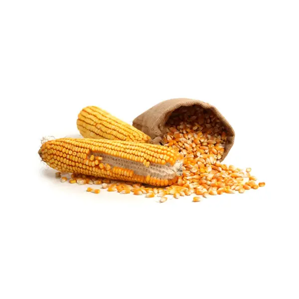 View details of NON-GMO Yellow Animal Corn Product image of NON-GMO Yellow Animal Corn